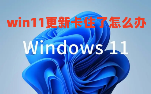 win11更新卡住了怎么办 win11更新一个晚上还没完成转圈圈如何解决
