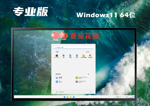 win11专业版官网下载地址 win11专业原版正式版下载