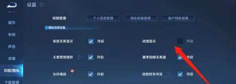 王者荣耀战绩怎么隐藏 王者荣耀战绩怎么删除