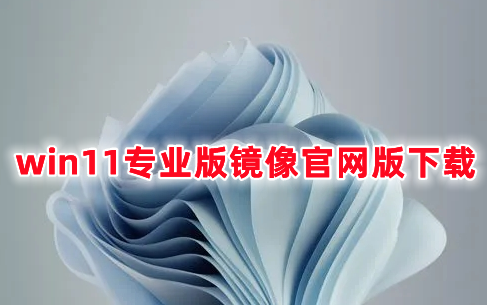 win11专业版镜像官网版下载 win11专业原版正式版下载