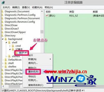 输入:C:\Windows\System32\notepad.ex