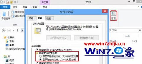 勾选“显示隐藏的文件、文件夹和驱动器”