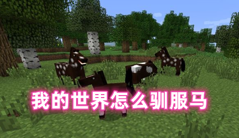 我的世界怎么驯服马 我的世界马怎么繁殖