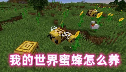 我的世界蜜蜂怎么养 我的世界蜜蜂怎么繁殖