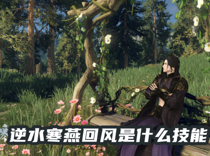 逆水寒燕回风是什么技能 逆水寒燕回风怎么放