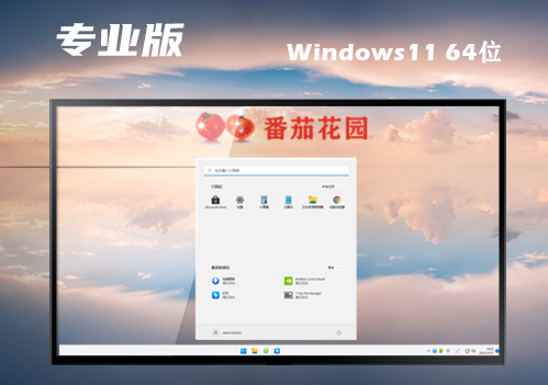 win11专业版官网下载地址 win11专业原版正式版下载