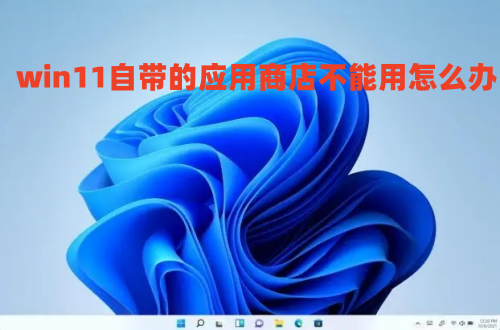 win11自带的应用商店不能用怎么办 win11应用商店打不开如何解决