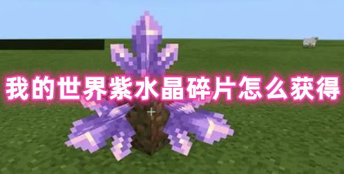 我的世界紫水晶碎片怎么获得 我的世界紫水晶碎片有什么用