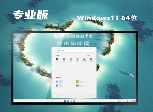 win11专业版下载官网 win11专业正式原版系统下载