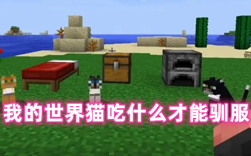 我的世界猫吃什么才能驯服 我的世界猫有什么用