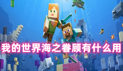 我的世界海之眷顾有什么用 我的世界海之眷顾最高几级