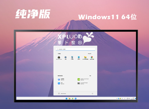 win11纯净中文版镜像下载 win11纯净官网正式版下载