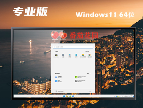win11最新专业版下载 win11专业正式中文版下载
