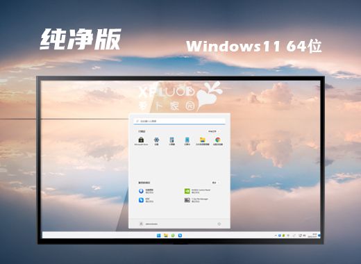 win11纯净版在哪下载 win11纯净版镜像下载
