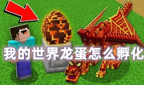 我的世界龙蛋怎么孵化 我的世界龙蛋有什么用