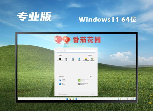 微软官网下载win11 win11系统下载官网地址