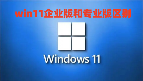 win11企业版和专业版区别什么哪个好 win11企业版怎么改成专业版