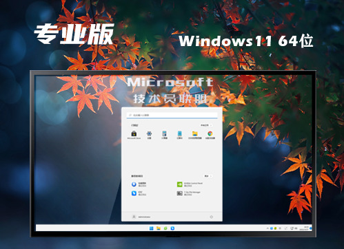 win11专业版原版下载 win11官网中文版镜像文件下载