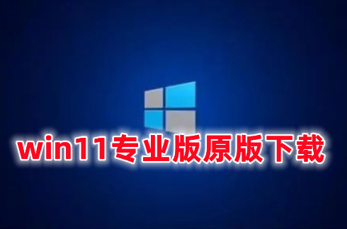 win11专业版原版下载 win11官网中文版镜像文件下载