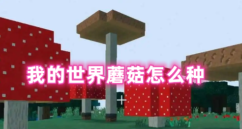 我的世界蘑菇怎么种  我的世界蘑菇有什么用