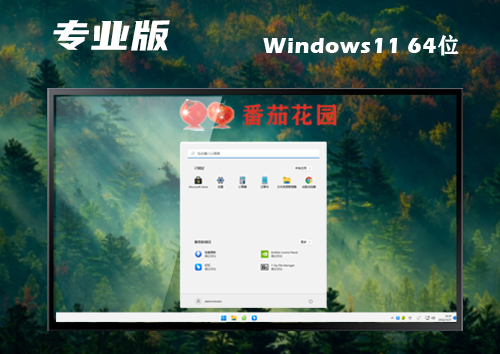 win11专业版下载官网 win11专业正式原版系统下载