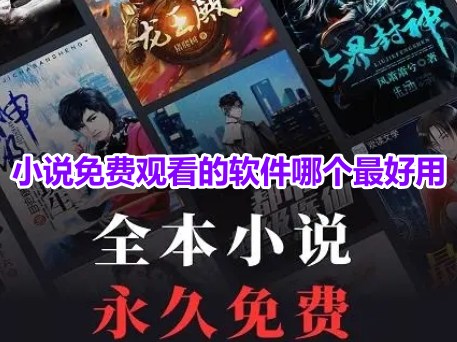 小说免费观看的软件哪个最好用？无广告的免费阅读小说app推荐！