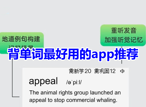 背单词最好用的app推荐！免费背单词的软件有哪些？