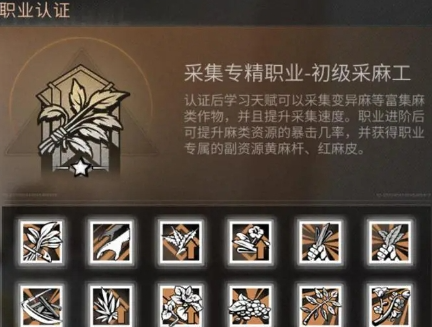 明日之后什么职业最赚钱2024？明日之后最赚钱职业选择推荐！