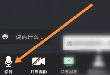 腾讯会议怎么静音呢？腾讯会议静音设置方法！